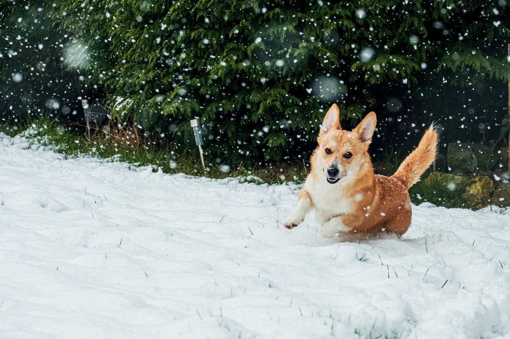 Photograph by Майя Коваль