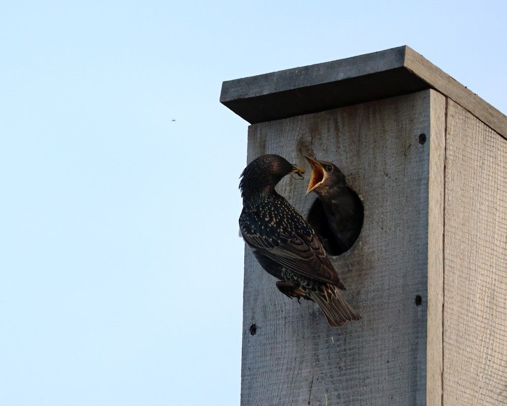Скоро на вылет.