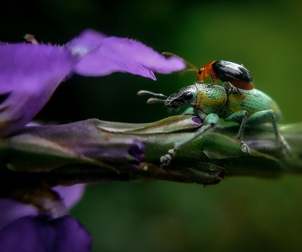 Photograph by Muhammed Salih Vp