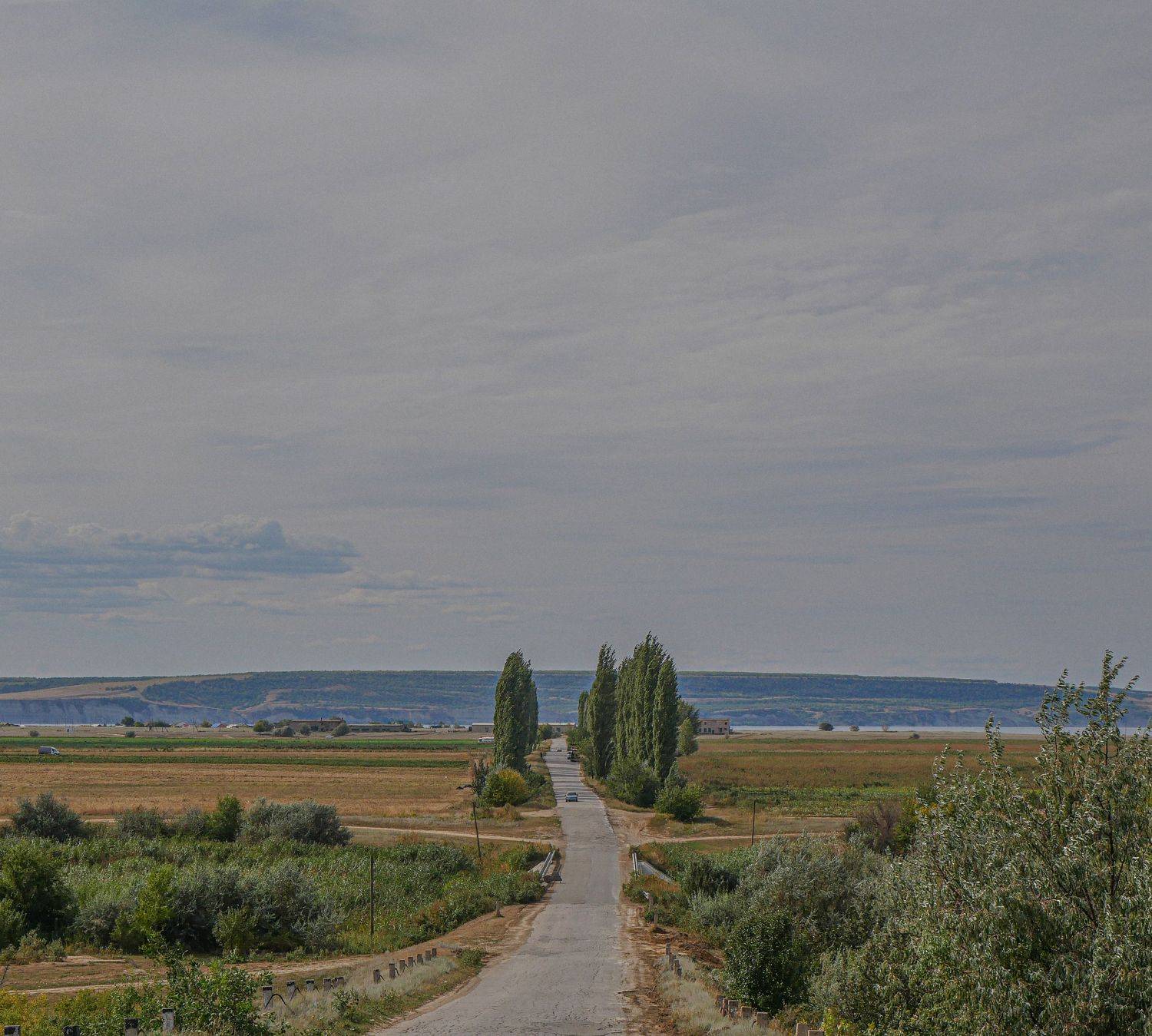 Photo #9186339