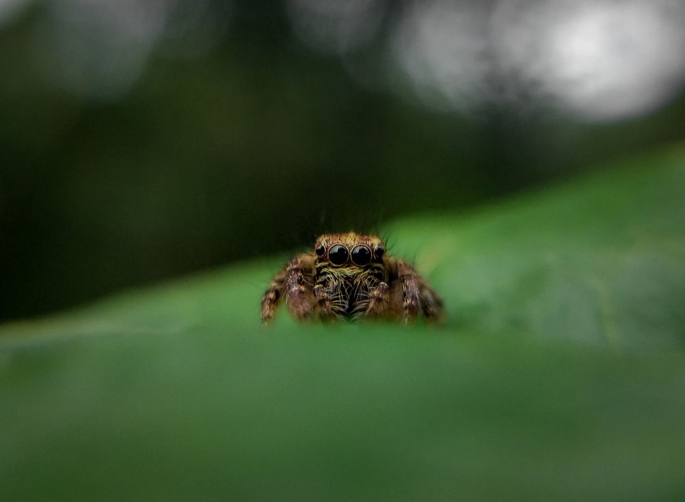 Photograph by Muhammed Salih Vp