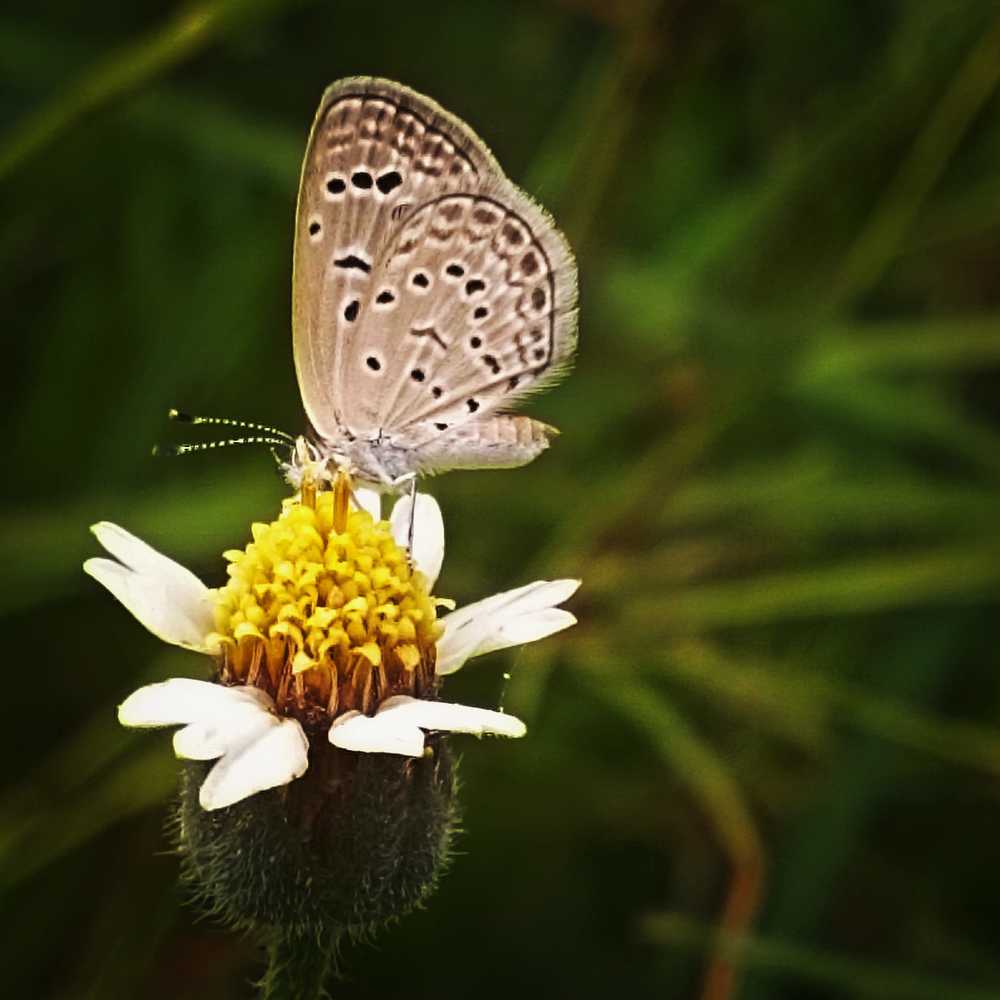 Photograph by Niveka Pushparasa