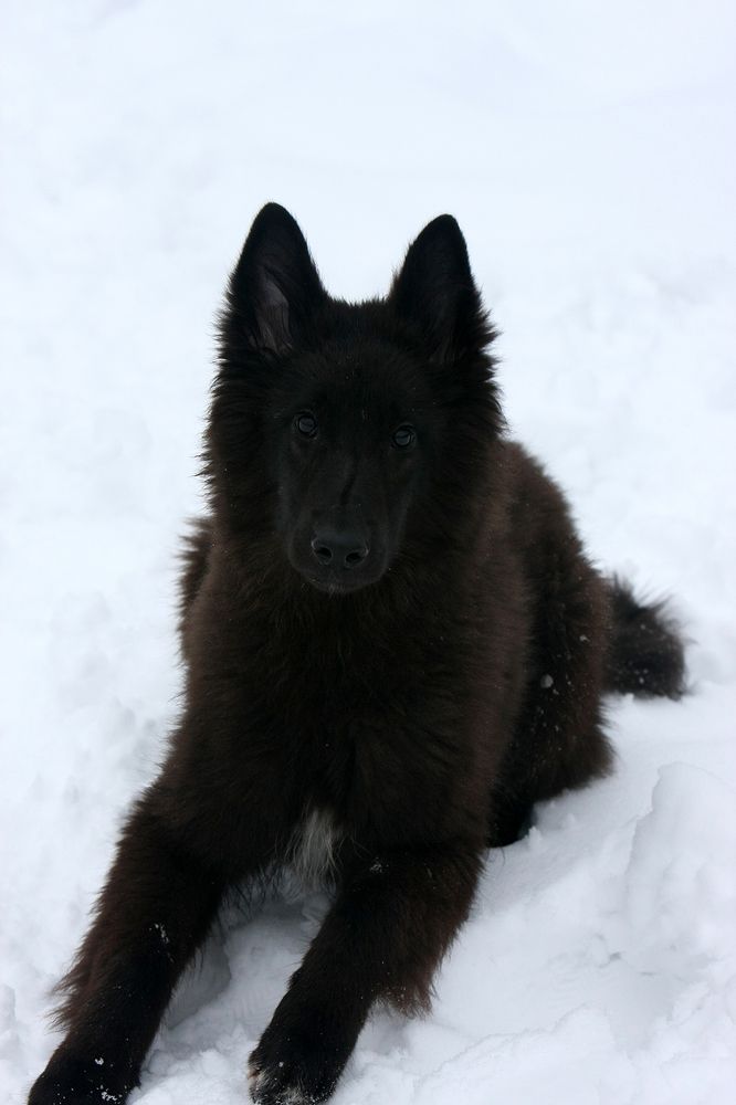 Фотография автора Надежда Лисицына