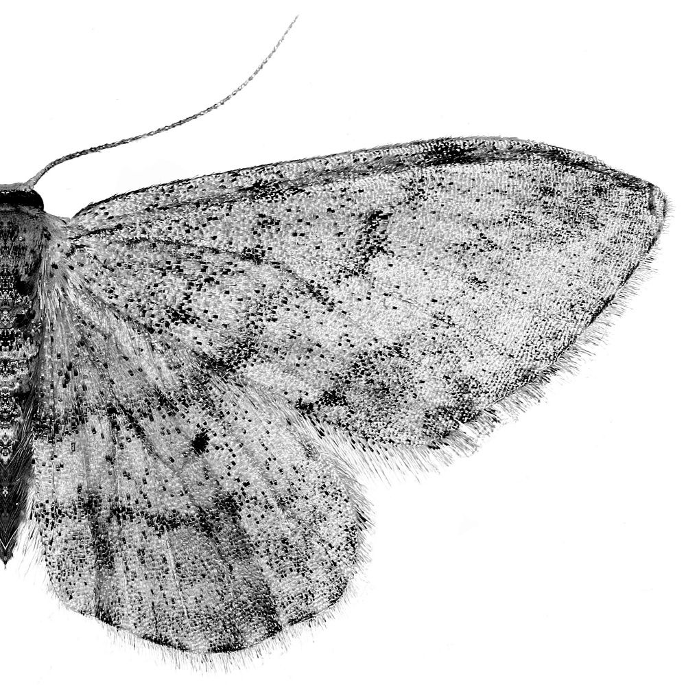 Фотография автора Ketov Vladimir