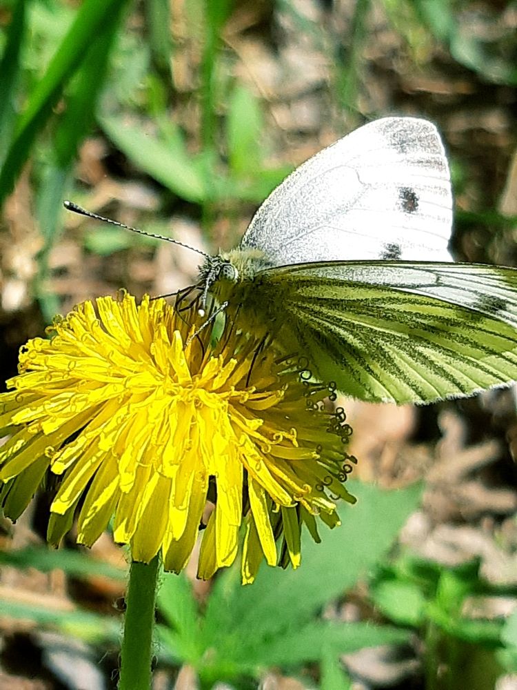 Photograph by Ольга Александрова