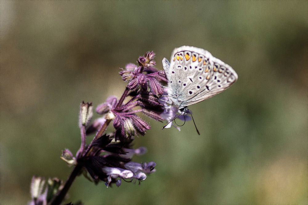 Photograph by Александр Стрельченко