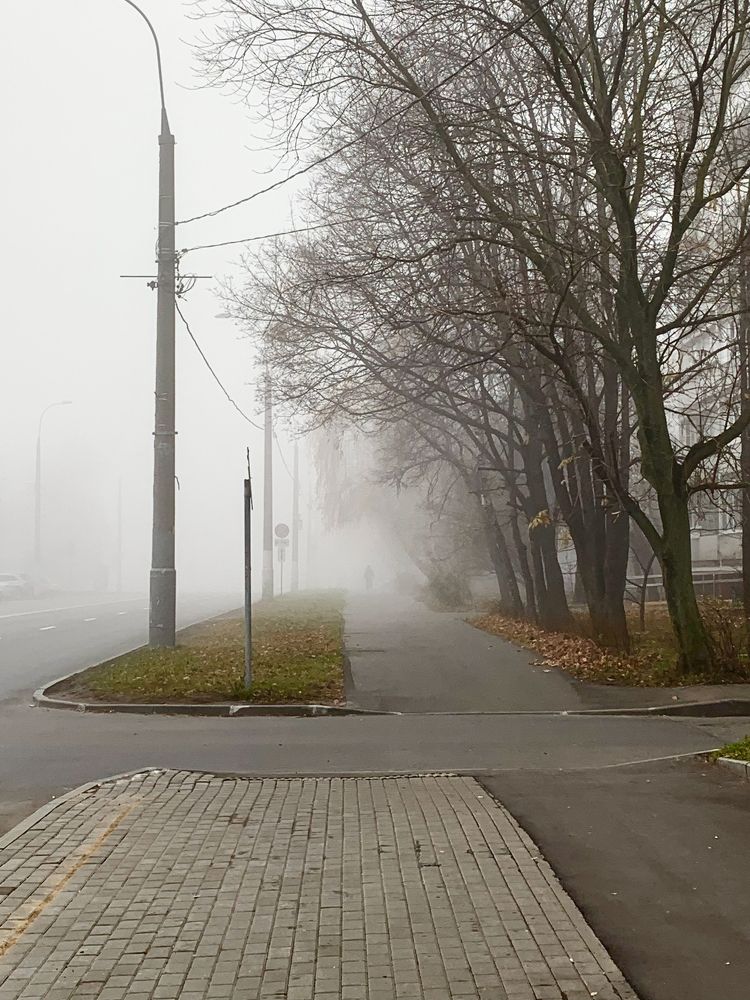 Photograph by Елена Макуха