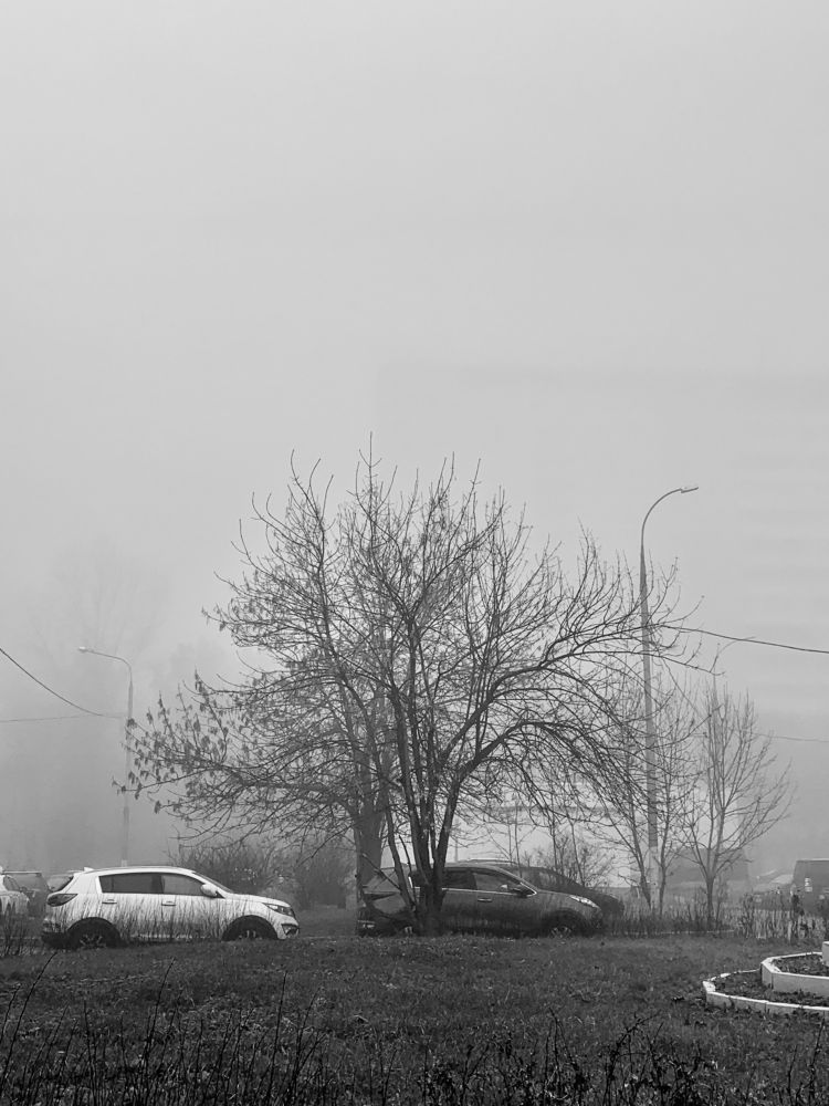 Photograph by Елена Макуха