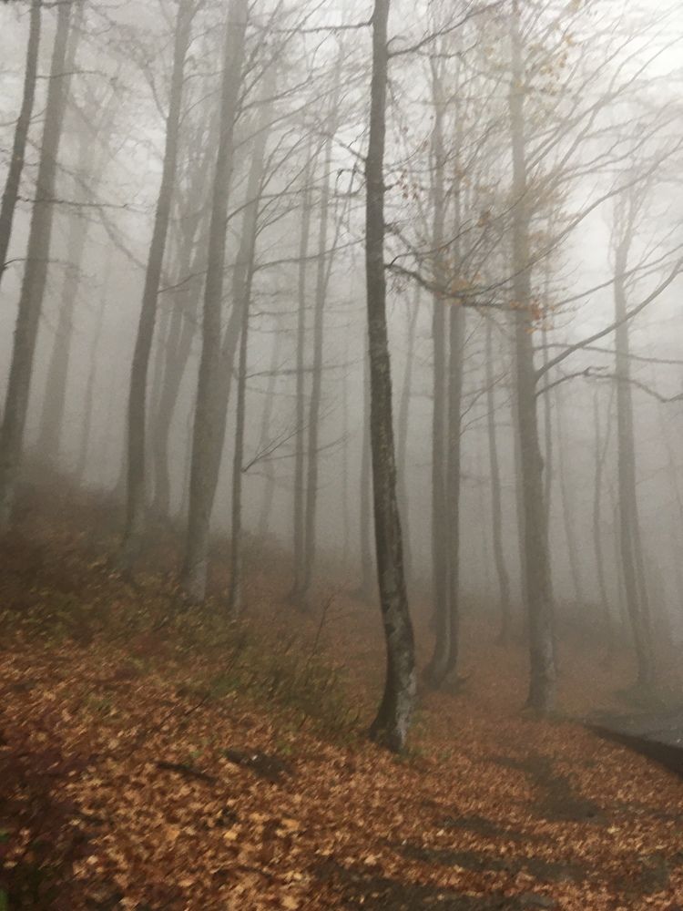 Фотография автора Ксения