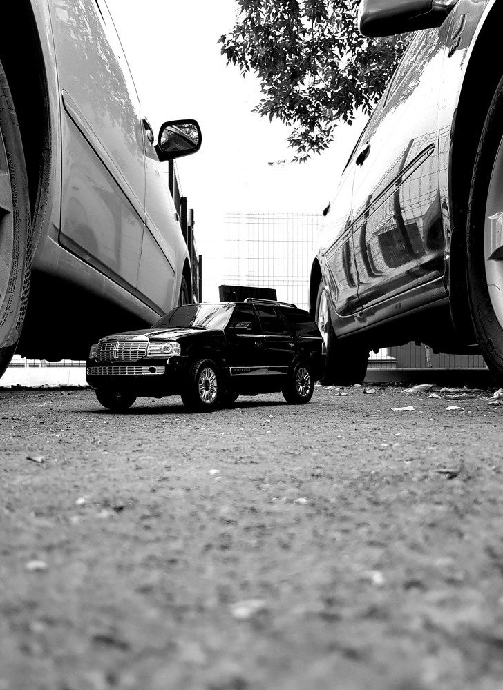 Фотография автора Максим Грибанов