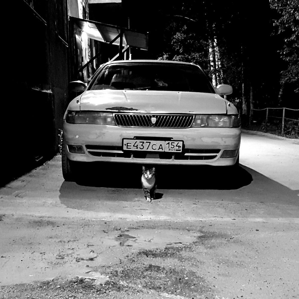 Фотография автора Максим Грибанов