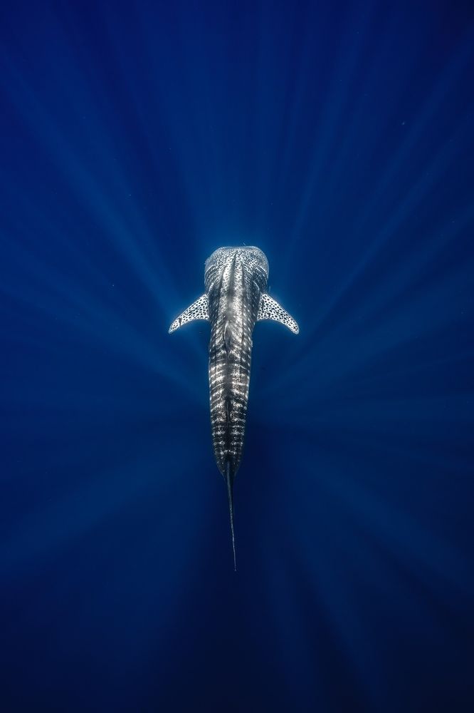 Photograph by Merche Llobera