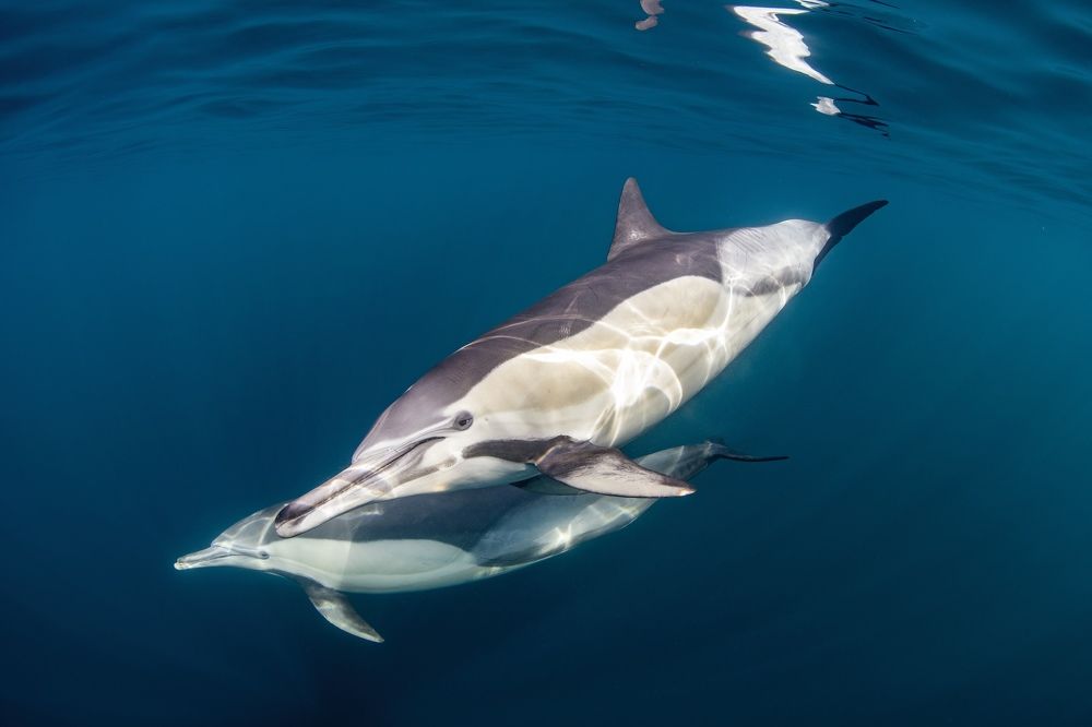 Photograph by Merche Llobera