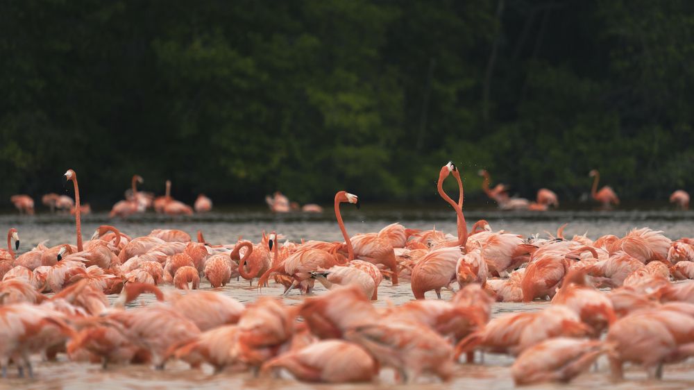 Photograph by Merche Llobera