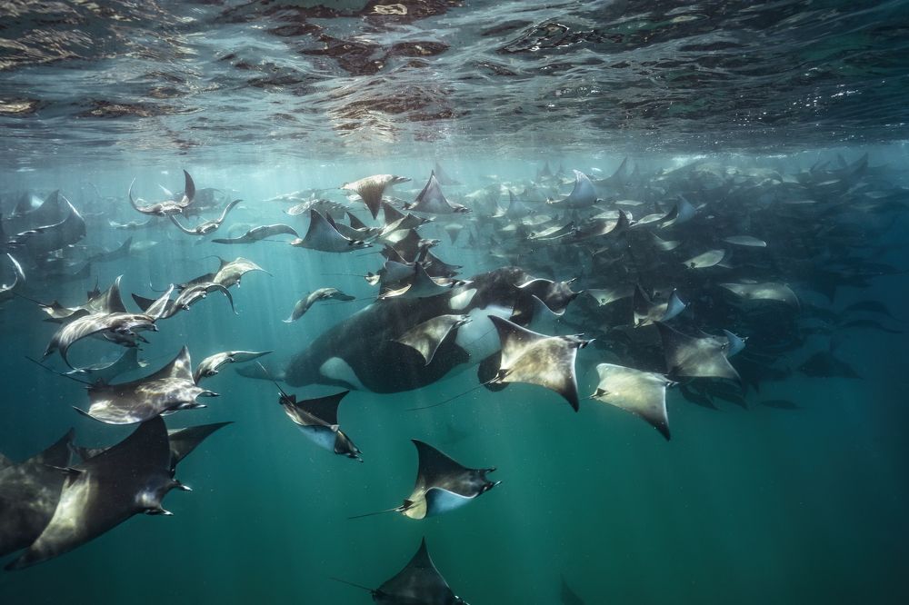 Photograph by Merche Llobera