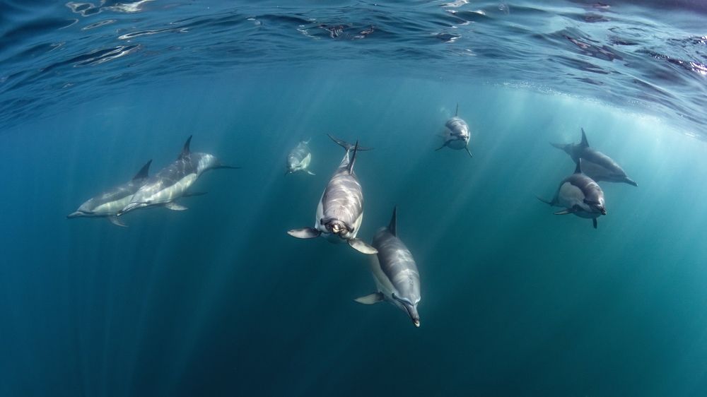 Photograph by Merche Llobera