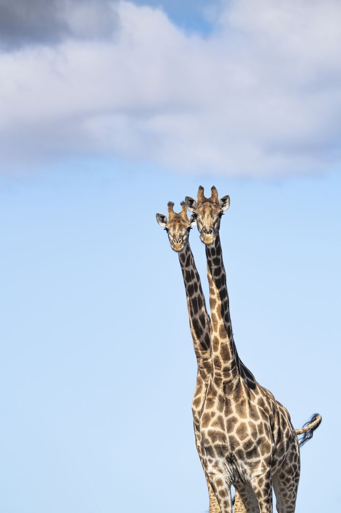 Photograph by Merche Llobera