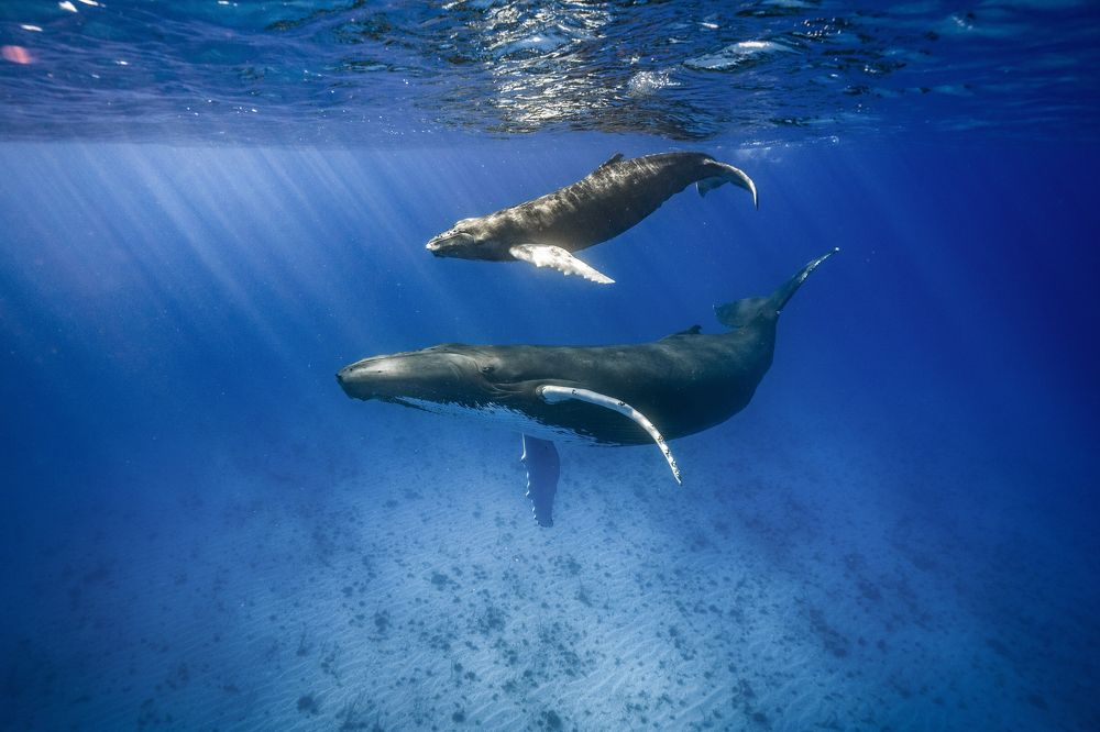 Photograph by Merche Llobera