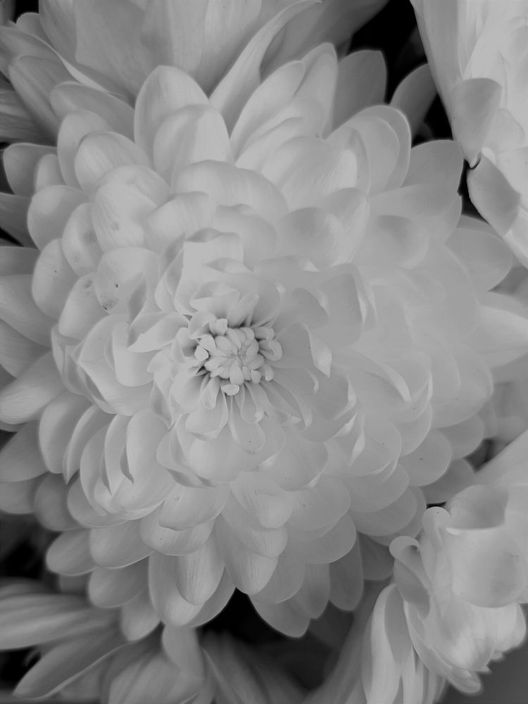 Photograph by Ольга Карева
