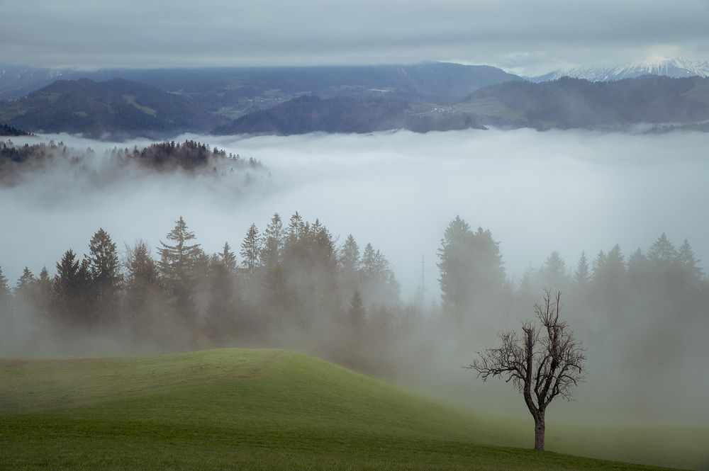 Photograph by Silvija Danelsone