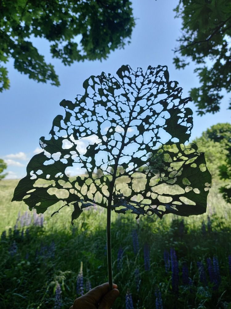 Photograph by Владимир Кублицкий