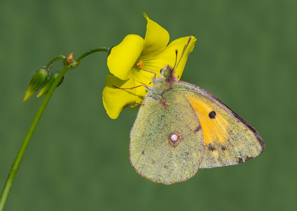 Photograph by Vahid Yavari