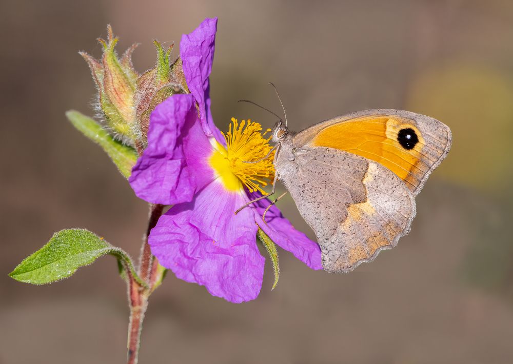 Photograph by Vahid Yavari