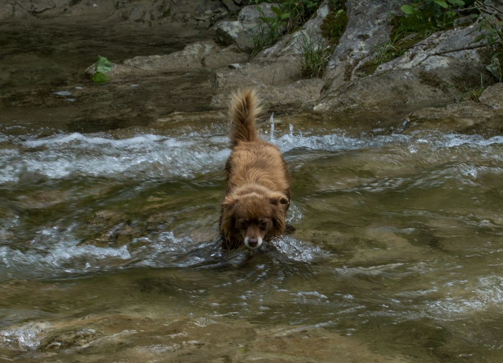 Photograph by Олег Башкуров