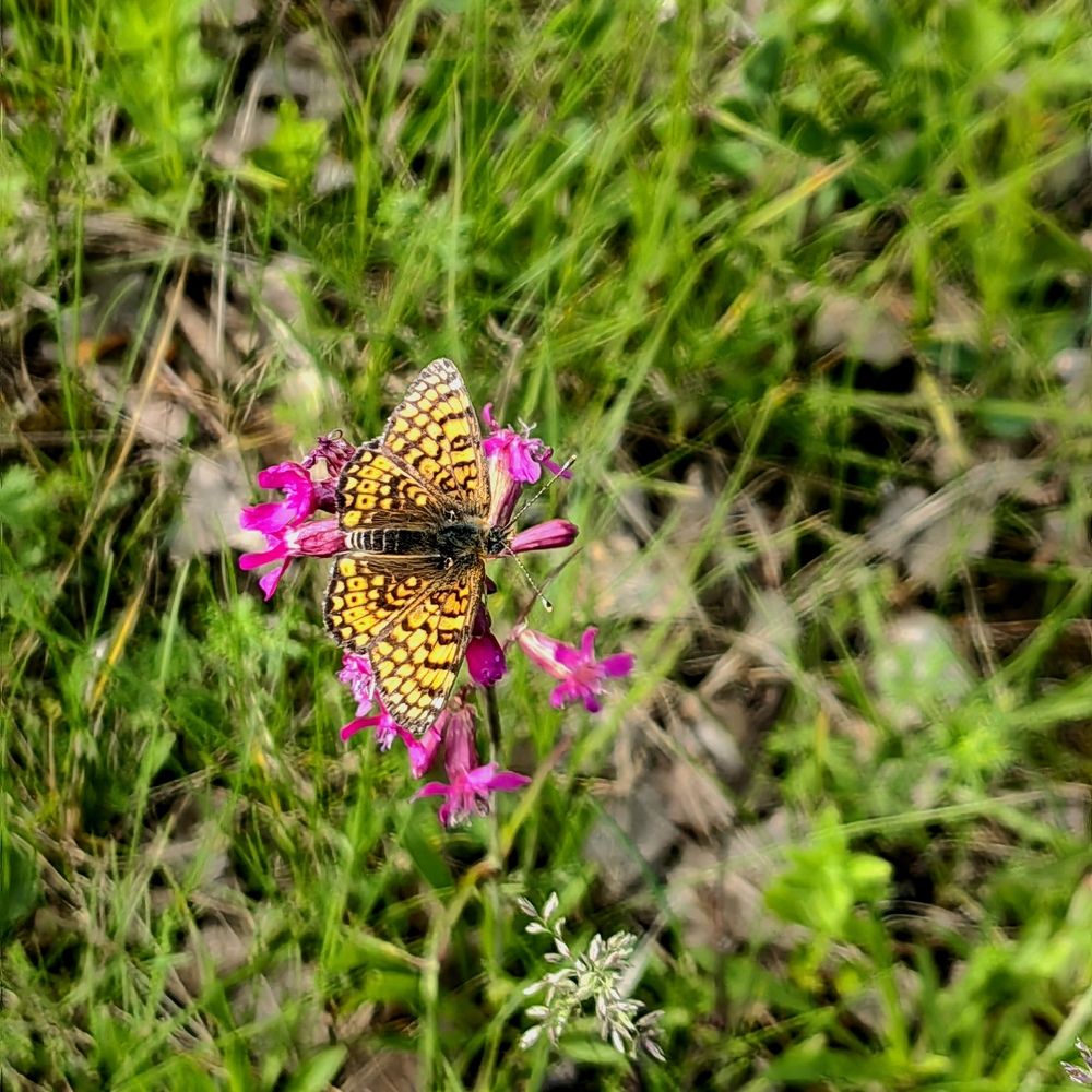 Photograph by Полина Александровна