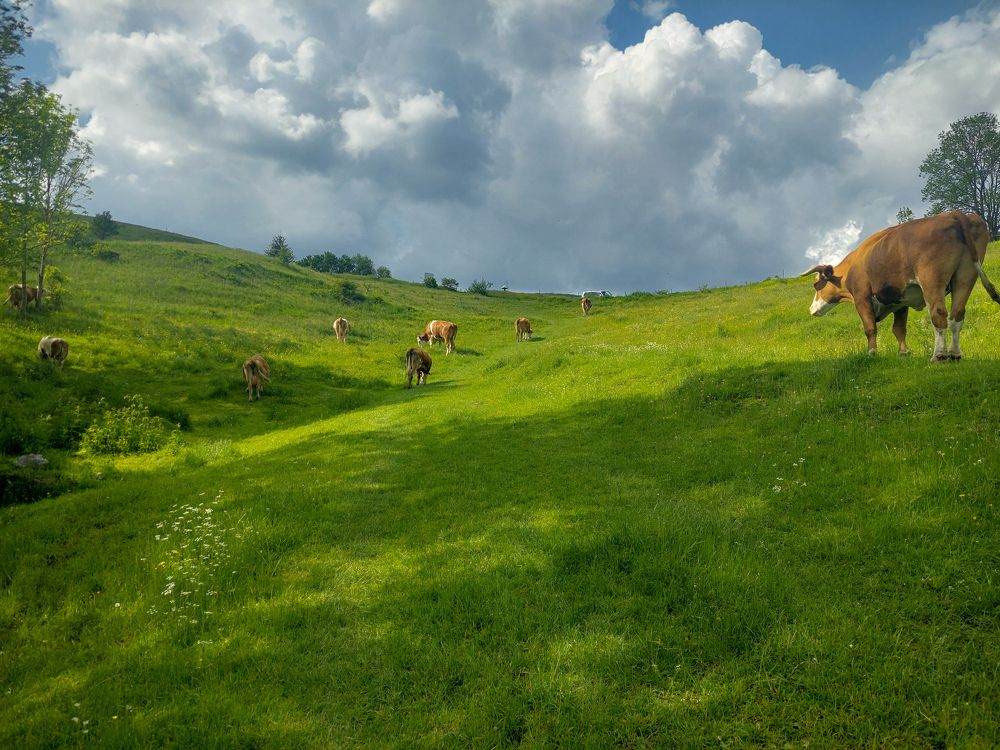 Photograph by Diana-Alexandra Amărinei