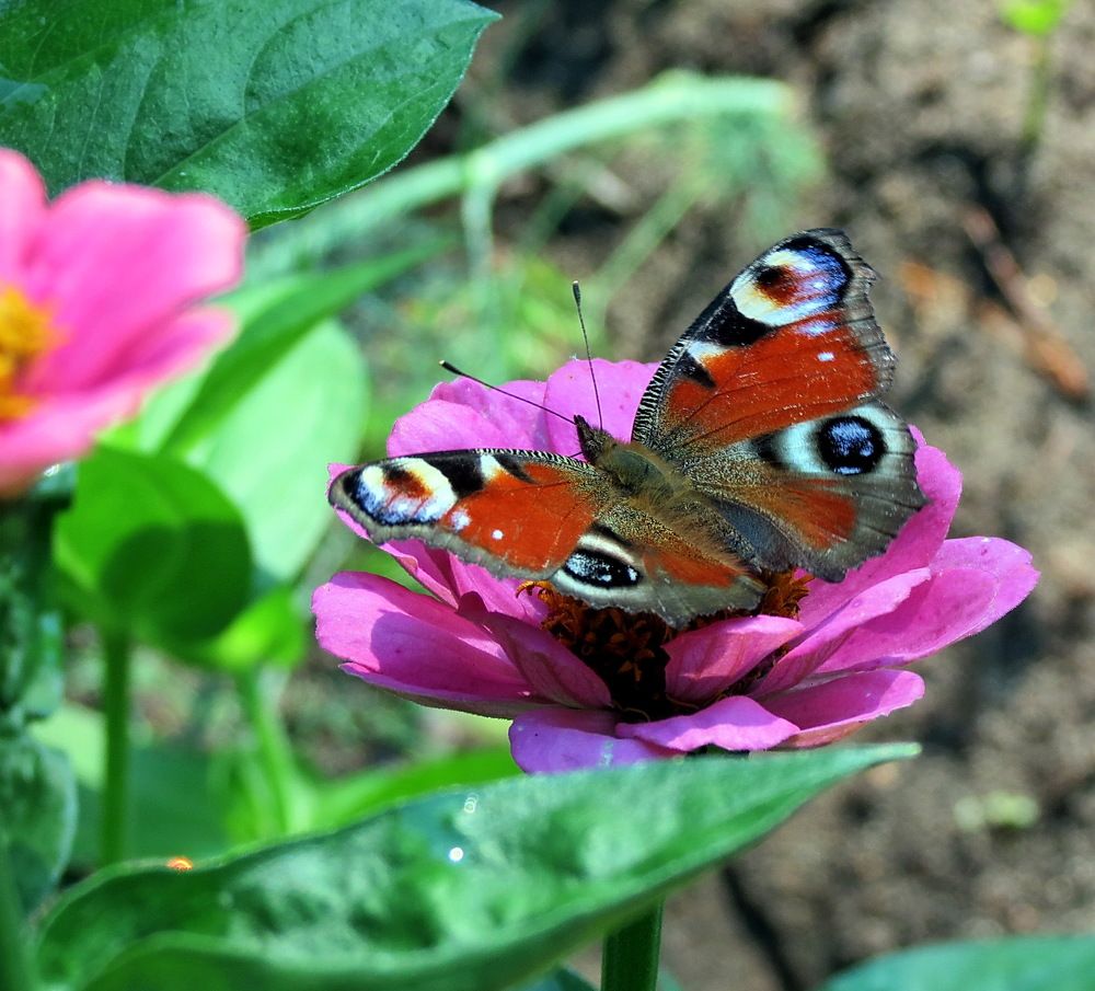 Photograph by Лилия Харламова