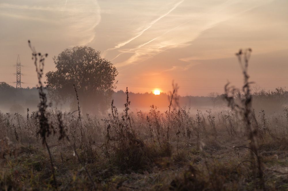 Photograph by Татьяна Кормашова