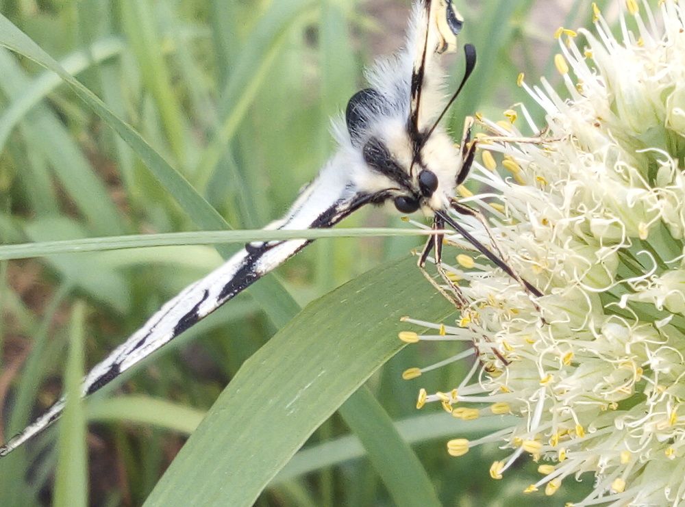 Photograph by Евгений Артемьев