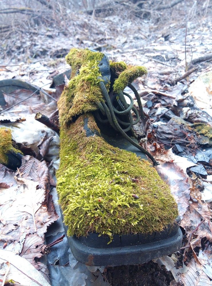 Photograph by Евгений Артемьев