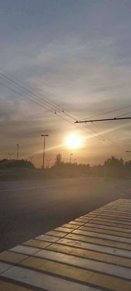Photo #9186993