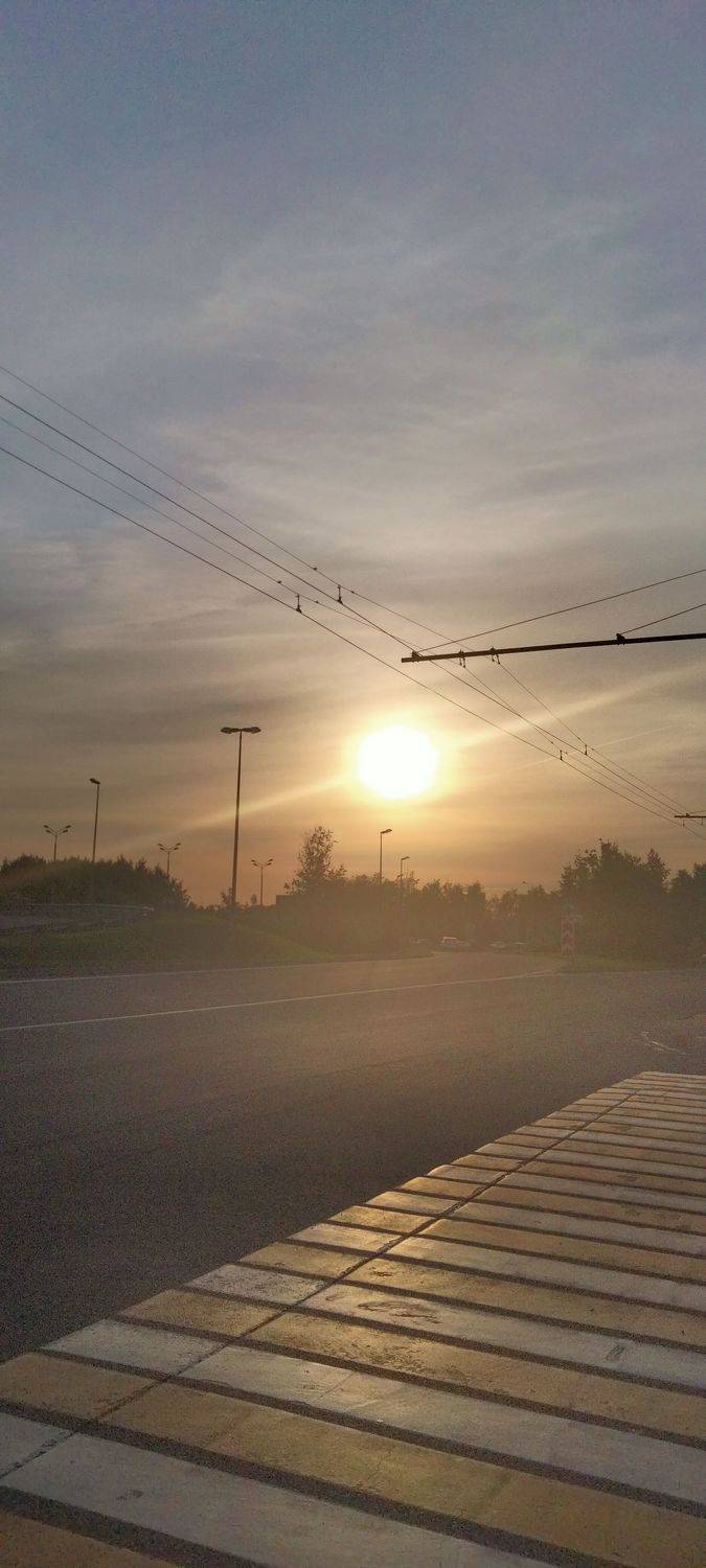 Photo #9186993