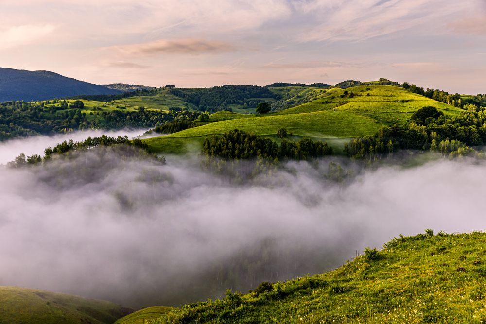 Photograph by levi bagy