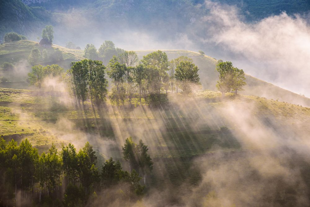 Photograph by levi bagy