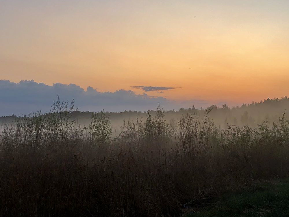 Фотография автора Евгения Елисеева