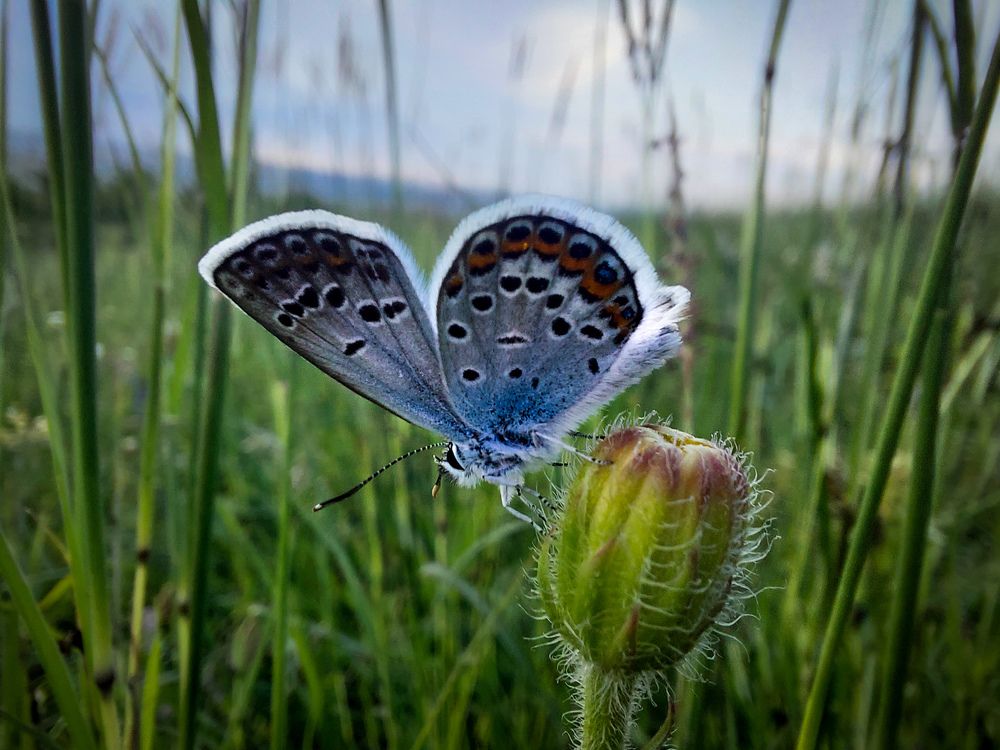 Photograph by Diana-Alexandra Amărinei
