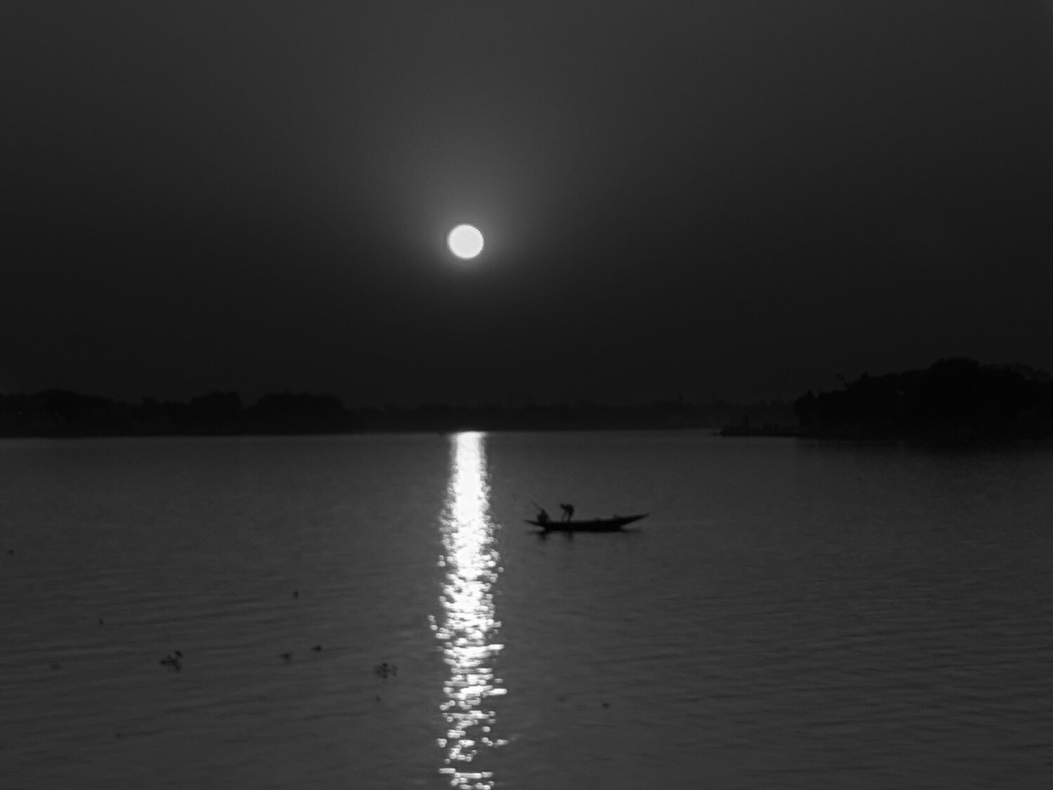 Photo #9187126