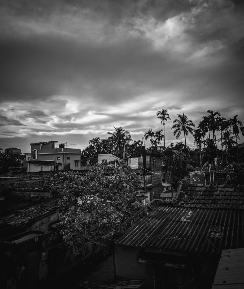 Photo #9187138