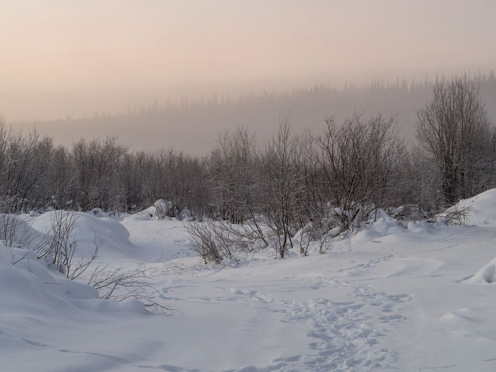 Photograph by Анна Шейко