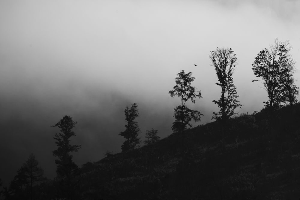 Photograph by Denisa Miazdrová