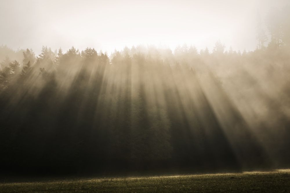 Photograph by Denisa Miazdrová