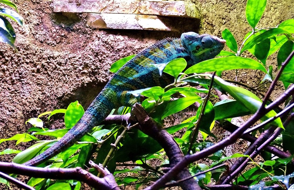 Photograph by backareva irina