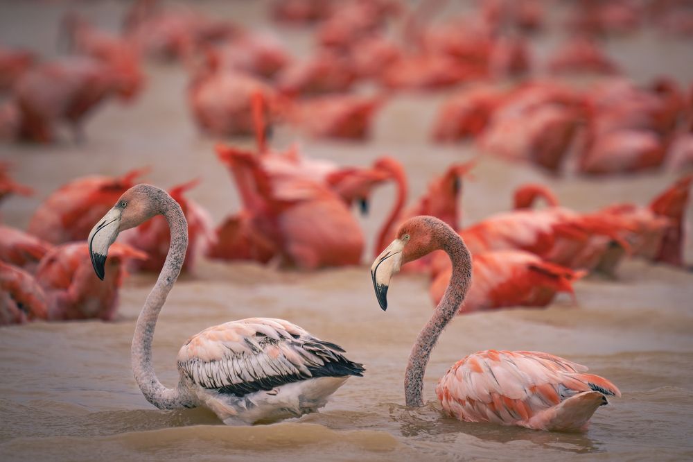 Photograph by Merche Llobera