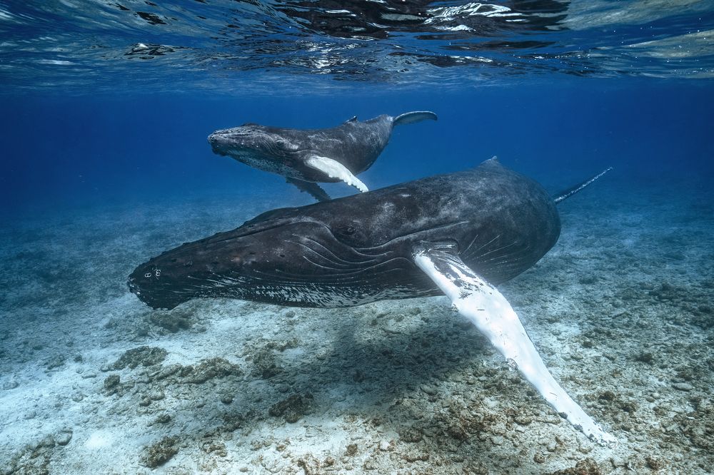 Photograph by Merche Llobera