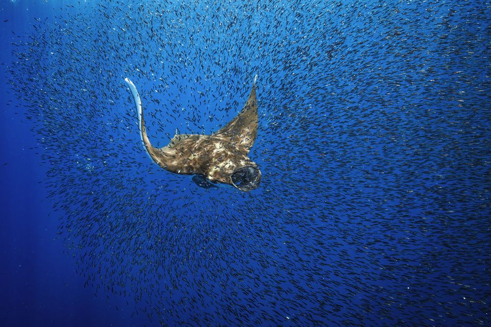 Photograph by Merche Llobera