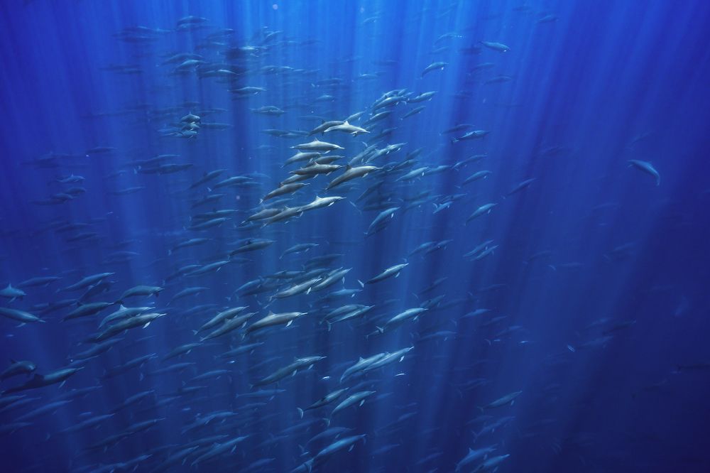 Photograph by Merche Llobera